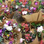 Spring Bouquets